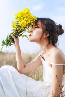 海贼王同人H